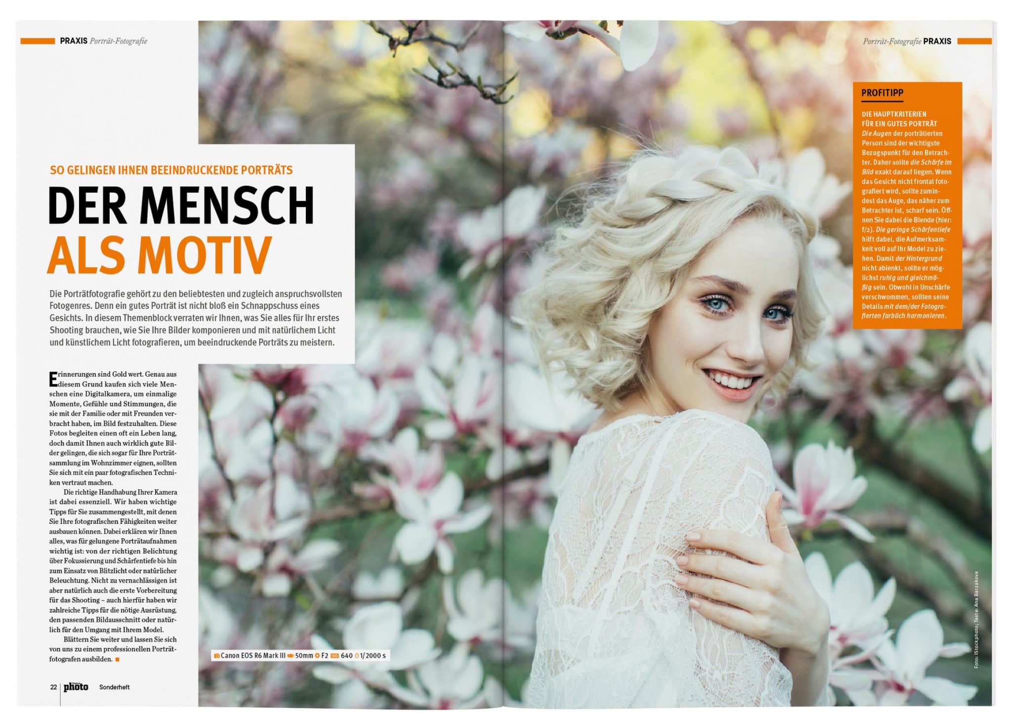 Doppelseite E-Book Porträt-Fotografie 2026